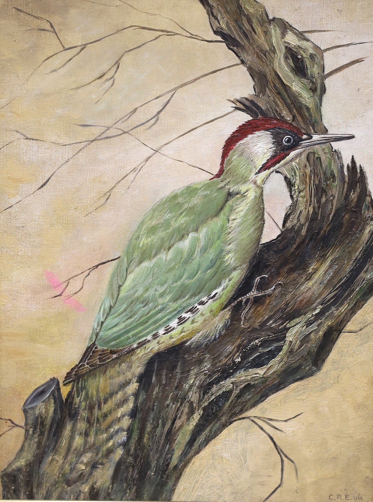 C.R.E. pair of oils on board, Studies of a Green Woodpecker and a Magpie, initialled and dated '66, 38 x 28cm